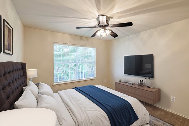 2632 Century Park Blvd Unit 18, Austin, TX 78727 - photo 22