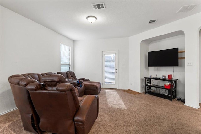 239 Crimson Ln, Kyle, TX 78640 - living area featuring carpet flooring and arched walkways