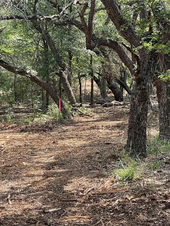 2851 County Road 255, Georgetown, TX 78633 - photo 36