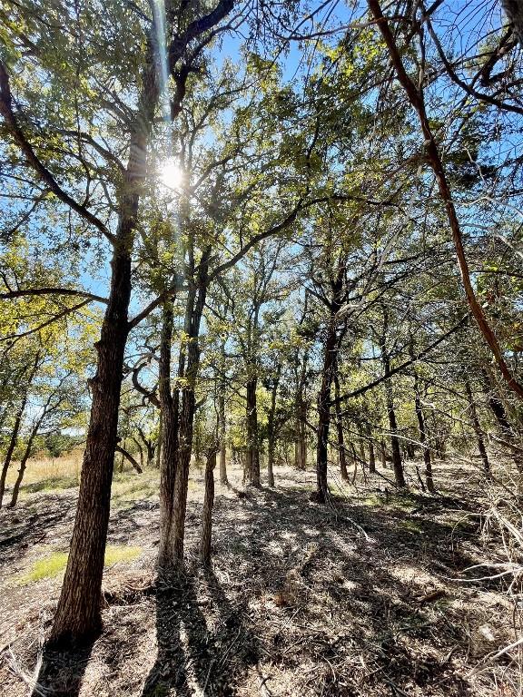 2851 County Road 255, Georgetown, TX 78633 - photo 33