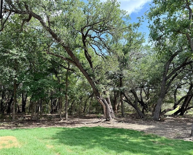 2851 County Road 255, Georgetown, TX 78633 - photo 10