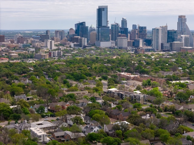 1508 Pease Rd, Austin, TX 78703 - skyline view