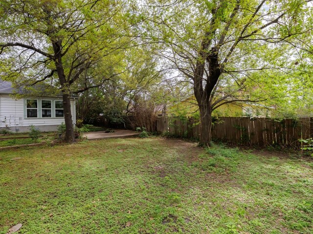 1508 Pease Rd, Austin, TX 78703 - view of yard