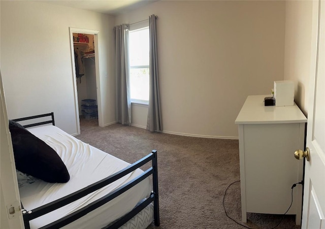3016 Aftonshire Way, Austin, TX 78748 - carpeted bedroom with a walk in closet and a closet