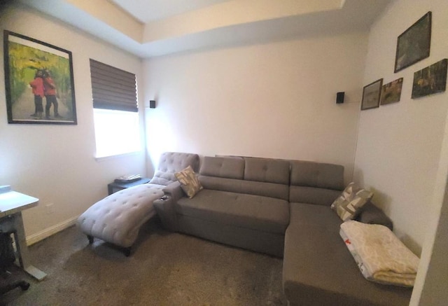 608 Cascada Ln, Round Rock, TX 78681 - living area featuring carpet flooring and baseboards