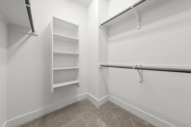 12315 Maypole Bnd Unit 1002, Austin, TX 78717 - walk in closet with carpet floors