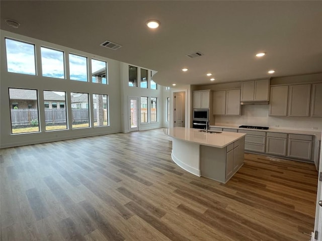 221 Camille St, Leander, TX 78641 - kitchen featuring open floor plan, stainless steel microwave, wood finished floors, light countertops, and an island with sink