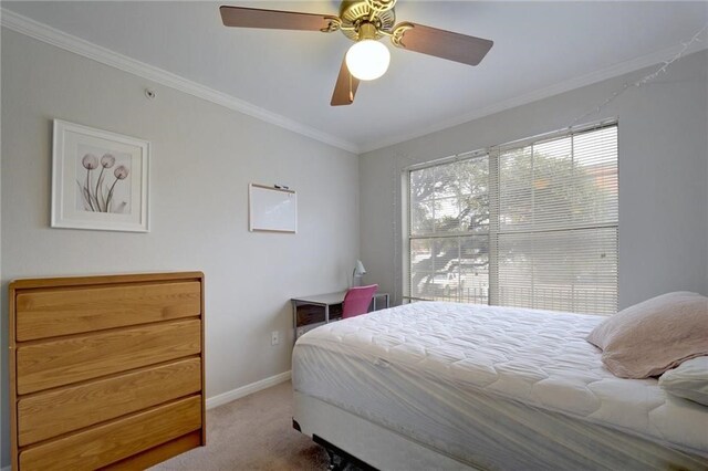 501 W 26th St Unit 121, Austin, TX 78705 - photo 6