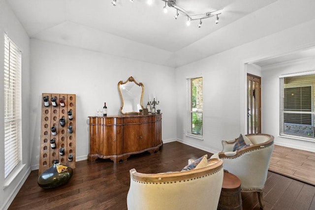 507 S Lake Creek Dr, Round Rock, TX 78681 - sitting room with hardwood / wood-style flooring and lofted ceiling