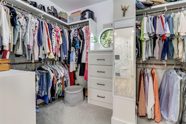 3110 Barton Point Dr, Austin, TX 78733 - view of walk in closet