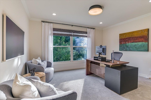 6717 Valburn Dr, Austin, TX 78731 - office space with ornamental molding, light colored carpet, and recessed lighting