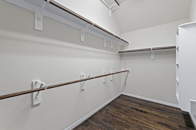 19825 Rhiannon Ln, Pflugerville, TX 78660 - walk in closet with dark wood finished floors