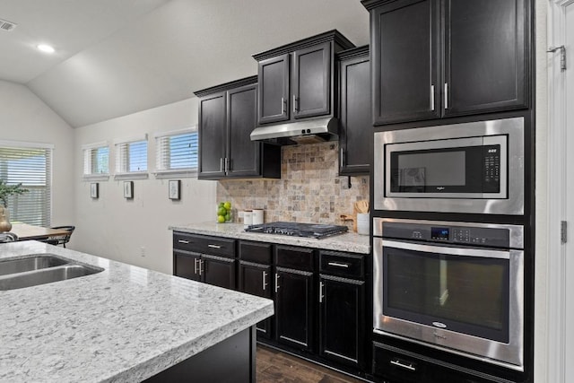 19825 Rhiannon Ln, Pflugerville, TX 78660 - kitchen featuring stainless steel appliances, dark cabinets, under cabinet range hood, lofted ceiling, and healthy amount of natural light