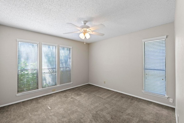 12306 Split Rail Pkwy, Austin, TX 78750 - photo 13