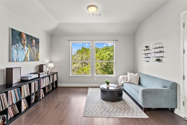 226 Brentwood Dr, Austin, TX 78737 - living area featuring vaulted ceiling and dark wood finished floors