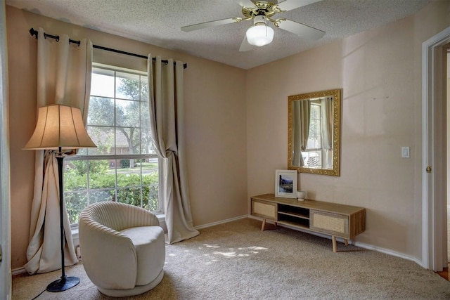 9134 Edwardson Ln, Austin, TX 78749 - photo 24
