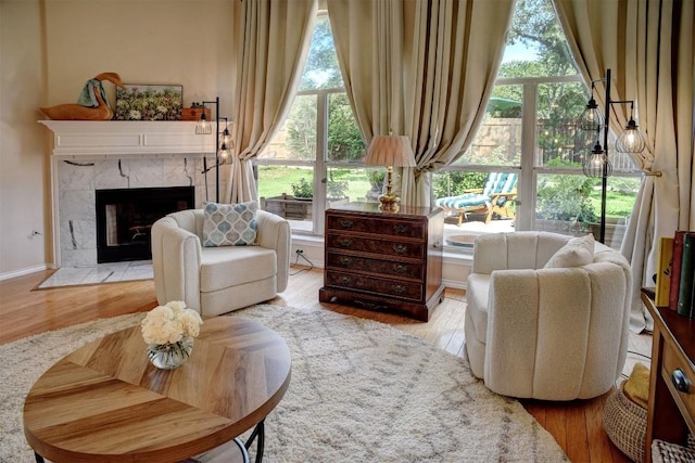 9134 Edwardson Ln, Austin, TX 78749 - living area featuring wood finished floors and a premium fireplace