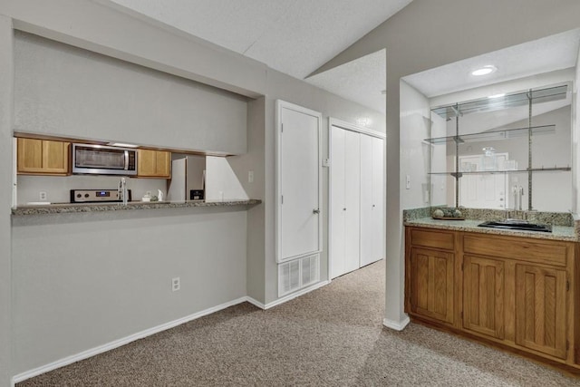 1202 Thorpe Ln Unit 708, San Marcos, TX 78666 - kitchen with appliances with stainless steel finishes, light colored carpet, lofted ceiling, and brown cabinets