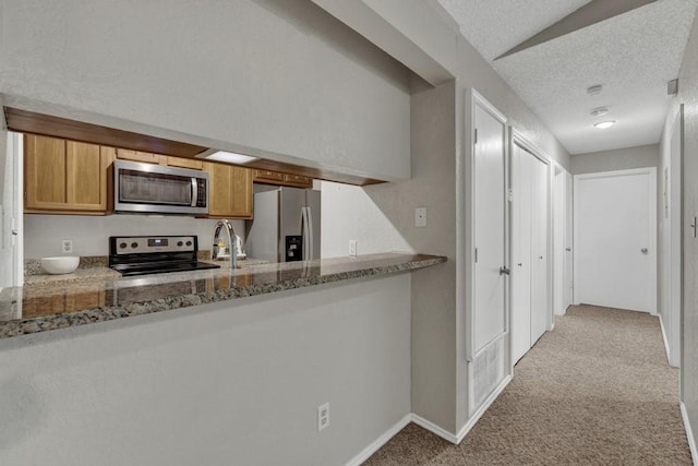 1202 Thorpe Ln Unit 708, San Marcos, TX 78666 - kitchen featuring stainless steel appliances, carpet floors, a textured ceiling, a peninsula, and brown cabinetry