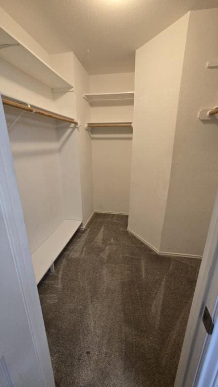 211 Valley Run Trl, Elgin, TX 78621 - spacious closet featuring dark colored carpet