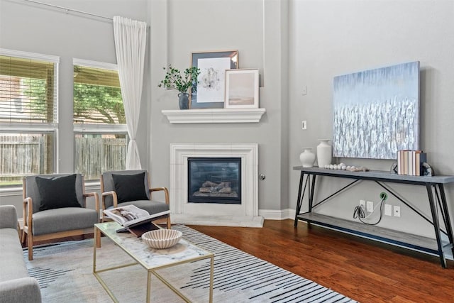 3041 Agave Loop, Round Rock, TX 78681 - living area featuring wood finished floors and a glass covered fireplace