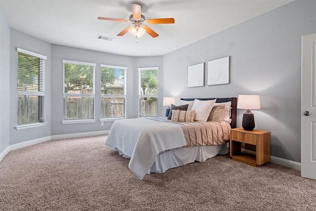 3041 Agave Loop, Round Rock, TX 78681 - bedroom with carpet floors, multiple windows, and ceiling fan