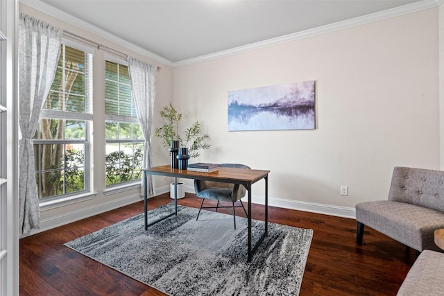 3041 Agave Loop, Round Rock, TX 78681 - office with crown molding, healthy amount of natural light, and wood finished floors