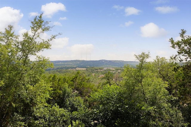4001 Firstview Dr, Austin, TX 78731 - mountain view with a forest