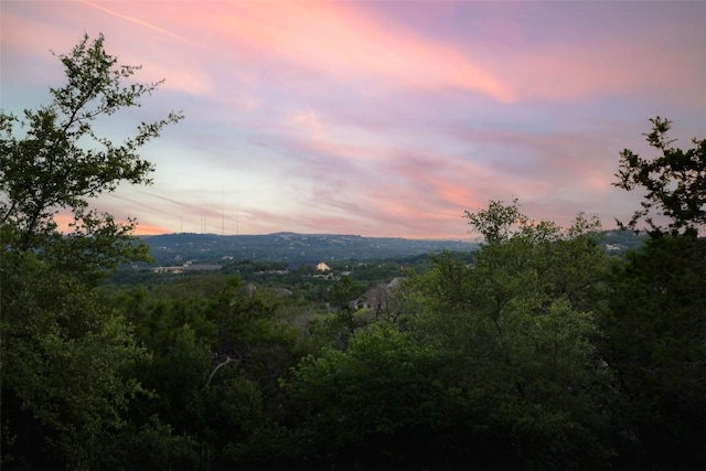 4001 Firstview Dr, Austin, TX 78731 - view of mountain background with a forest