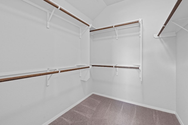 2800 Joe Dimaggio Blvd Unit 84, Round Rock, TX 78665 - spacious closet with carpet