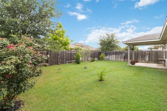 132 Sage Meadows Dr, San Marcos, TX 78666 - fenced backyard featuring a patio