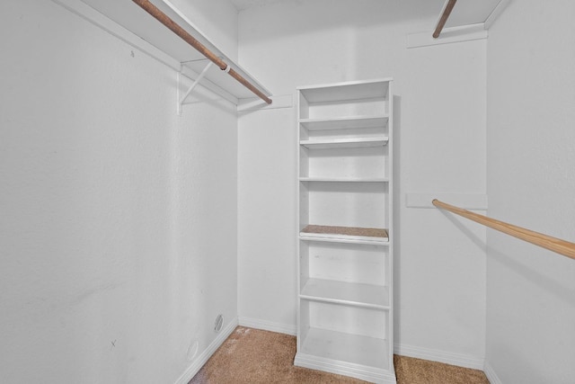 13212 Broadmeade Ave, Austin, TX 78729 - photo 23