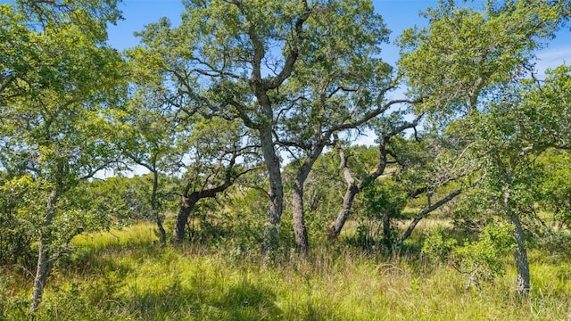 306 Anns Way, Blanco, TX 78606 - view of undeveloped land