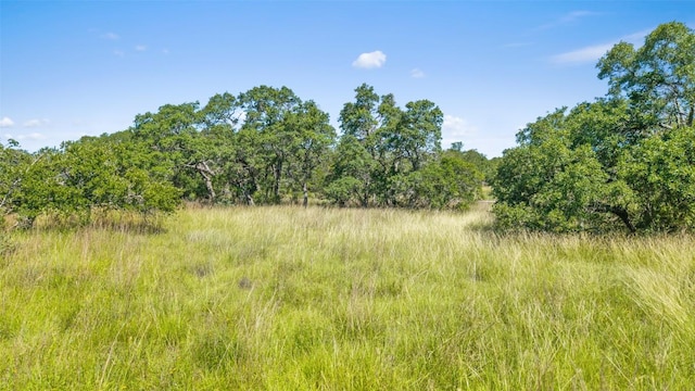 306 Anns Way, Blanco, TX 78606 - view of tree filled area