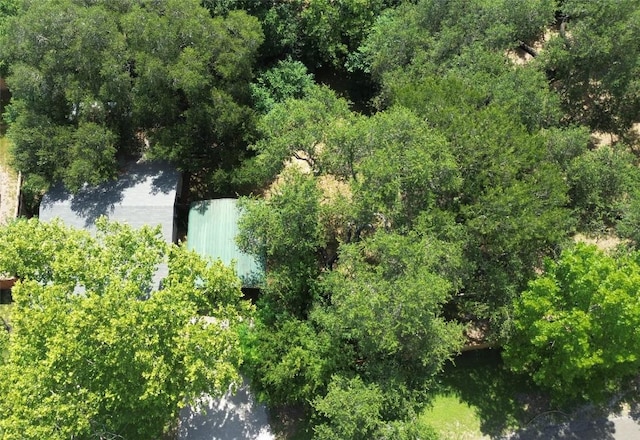 10801 W Lakeview Dr, Jonestown, TX 78645 - aerial view of property's location