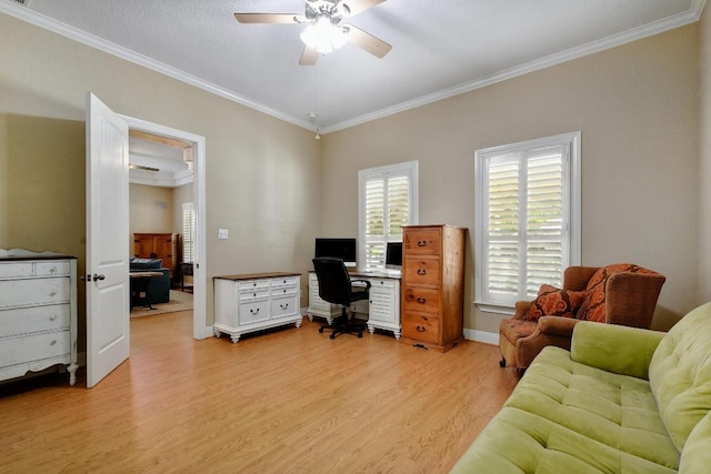 260 N Santa Clara Ave, New Braunfels, TX 78130 - office area featuring crown molding, ceiling fan, and light wood-style floors