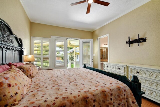 260 N Santa Clara Ave, New Braunfels, TX 78130 - bedroom featuring access to exterior, multiple windows, a textured wall, ornamental molding, and a ceiling fan