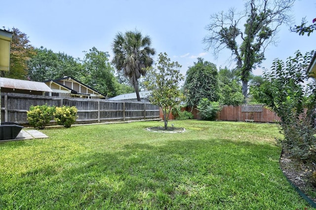 260 N Santa Clara Ave, New Braunfels, TX 78130 - view of fenced backyard