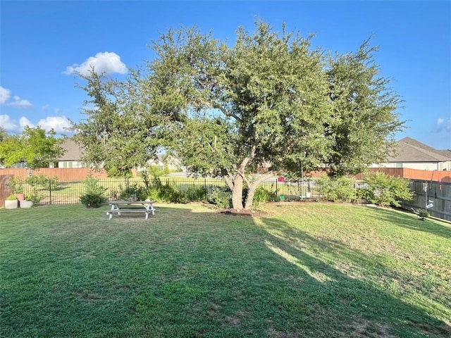 211 Nodena Dr, Dripping Springs, TX 78620 - view of fenced backyard