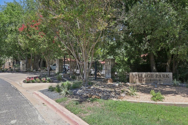 300 San Gabriel Village Blvd Unit 423, Georgetown, TX 78626 - view of home's community
