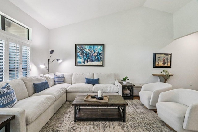 300 San Gabriel Village Blvd Unit 423, Georgetown, TX 78626 - living area featuring lofted ceiling and wood finished floors