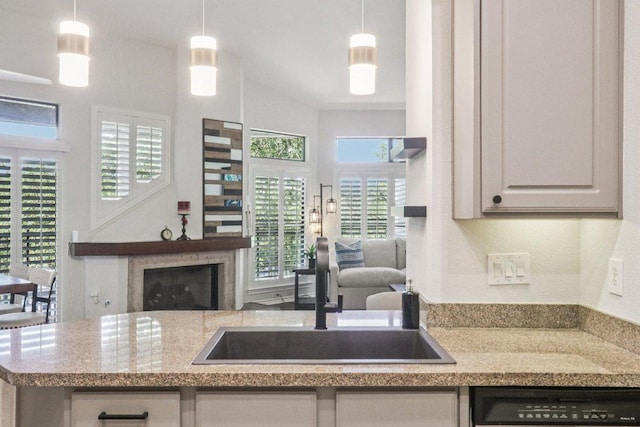 300 San Gabriel Village Blvd Unit 423, Georgetown, TX 78626 - kitchen featuring dishwashing machine, healthy amount of natural light, a fireplace, and decorative light fixtures