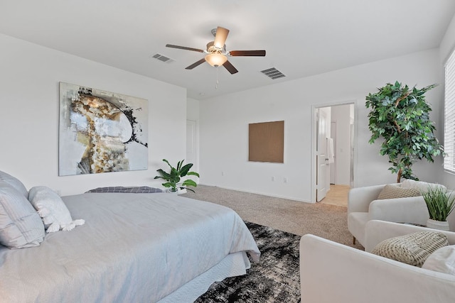 1207 Diggy Dr, Austin, TX 78748 - photo 19
