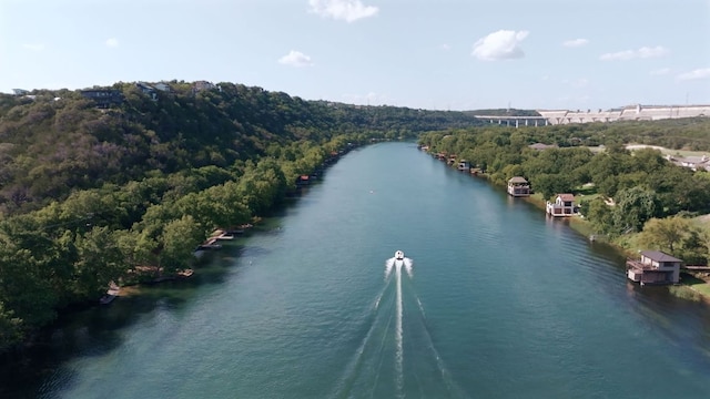 14601 Running Deer Trl, Austin, TX 78734 - bird's eye view of a large body of water and a forest