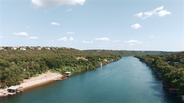 14601 Running Deer Trl, Austin, TX 78734 - bird's eye view of a nearby body of water and a heavily wooded area