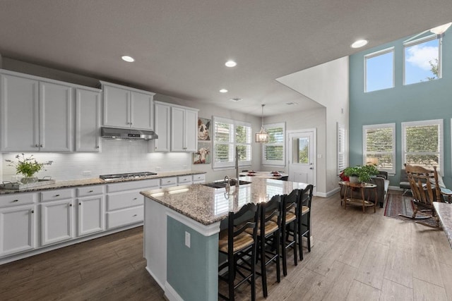 15913 Villa Frontera Dr, Bee Cave, TX 78738 - kitchen with under cabinet range hood, recessed lighting, light stone countertops, healthy amount of natural light, and tasteful backsplash