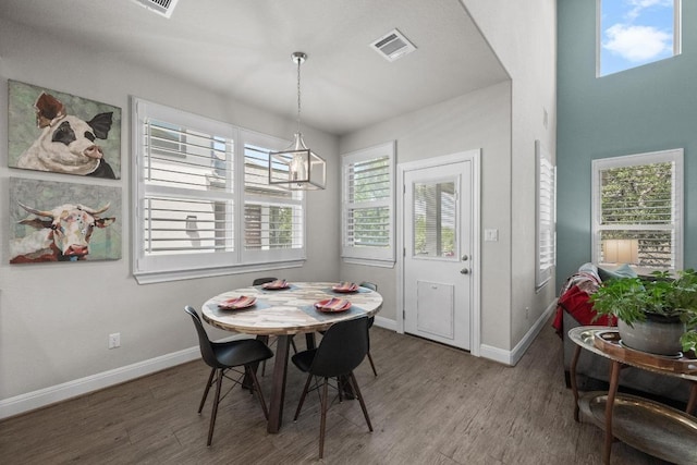 15913 Villa Frontera Dr, Bee Cave, TX 78738 - dining space with wood finished floors and healthy amount of natural light