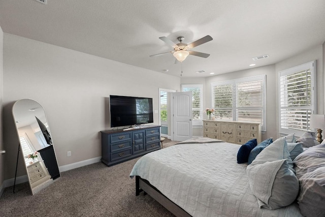 15913 Villa Frontera Dr, Bee Cave, TX 78738 - carpeted bedroom with multiple windows and ceiling fan