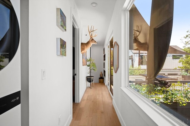 4802 Gladeview Dr Unit 2, Austin, TX 78745 - hallway featuring light wood-style floors and plenty of natural light