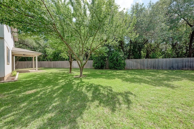 1803 Kwai Cv, Leander, TX 78641 - view of fenced backyard